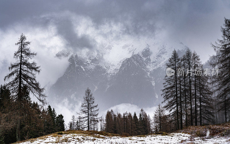 斯洛文尼亚Kranjska Gora的雪山和松树林地。